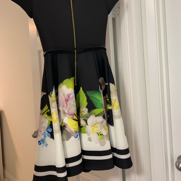 Beautiful Worn Once Ted Backer Short Sleeve Spring Dress Size 0 - Picture 4 of 5